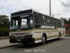 Ciferal Padron Rio / Mercedes Benz OF-1318 / Buses Curiñanco Ciferal Padron Rio / Mercedes Benz OF-1318 / Buses Curiñanco
