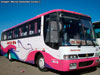 Busscar El Buss 340 / Mercedes Benz OF-1721 / Jota Be