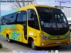 Mascarello Gran Micro / Mercedes Benz LO-916 BlueTec5 / Interbus