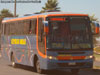 Busscar El Buss 340 / Mercedes Benz OF-1721 / Expreso Rojas