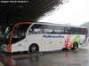 Neobus New Road N10 360 / Scania K-360B / Pullman Bus