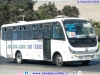 Zhong Tong Triumph LCK6850D Euro5 / Buses Condori