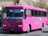 Mercedes Benz O-371RS / Buses Casther Mercedes Benz O-371RS / Buses Casther