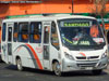 Neobus Thunder + / Mercedes Benz LO-915 / Buses Atevil