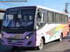 Mascarello Gran Micro / Volksbus 9-150EOD / Buses Alcántara