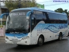 King Long XMQ6900Y / Seba Bus King Long XMQ6900Y / Seba Bus