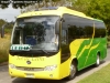 Higer Bus KLQ6856 (H85.31) / Sol de Lebu Higer Bus KLQ6856 (H85.31) / Sol de Lebu