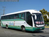 Maxibus Lince 3.45 / Mercedes Benz OF-1721 / Buses Ruta 5