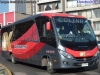 Marcopolo Senior / Mercedes Benz LO-916 BlueTec5 / OK Buses