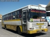 Thamco Scorpion / Mercedes Benz OF-1318 / Buses Poblete