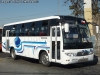 Zhong Tong Catch LCK6880T / Buses Paine