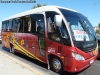 Mascarello Gran Micro / Mercedes Benz LO-915 / Buses Palacios Mascarello Gran Micro / Mercedes Benz LO-915 / Buses Palacios