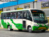 Marcopolo Senior / Mercedes Benz LO-915 / Buses Buin - Maipo