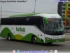 King Long XMQ6130Y Euro5 / Tur Bus Aeropuerto King Long XMQ6130Y Euro5 / Tur Bus Aeropuerto