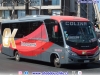 Marcopolo Senior / Mercedes Benz LO-916 BlueTec5 / OK Buses