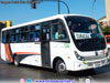 Zhong Tong Triumph LCK6850D Euro5 / Buses Atevil