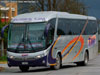 Marcopolo Viaggio G7 1050 / Mercedes Benz O-500RS-1836 / Buses TJM