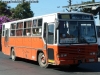 Caio Vitória / Mercedes Benz OF-1318 / Buses HT Caio Vitória / Mercedes Benz OF-1318 / Buses HT
