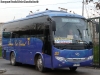 Higer Bus KLQ6796 (H79.29) / Royal Bus