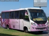 Induscar Caio Foz / Mercedes Benz LO-916 BlueTec5 / Serena Mar