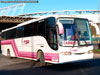 Comil Campione 3.45 / Mercedes Benz OH-1628L / Buses TGR