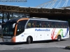 Neobus New Road N10 360 / Scania K-310B / Pullman Bus