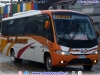 Marcopolo Senior / Mercedes Benz LO-915 / Buses Carrasco