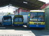 Flota Busscar Jum Buss 340 / Scania K-113CL / Buses al Sur