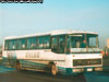 Nielson Diplomata 310 / Mercedes Benz OF-1318 / Galgo Omnibus