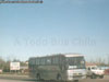 Busscar El Buss 340 / Mercedes Benz OF-1318 / Linatal