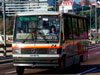 Caio Carolina III / Mercedes Benz LO-708E / Línea N° 92 Transportes Ona (Viña del Mar)