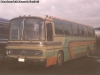 Mercedes Benz O-302ÜH / Particular