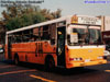 Bus Tango 2001 / Mercedes Benz OHL-1320 / Línea N° 244 Pudahuel - La Reina (Villa Naciones Unidas N° 22 S.A.)