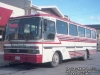 Marcopolo Strada / Mercedes Benz OF-1114 / Buses Fernández