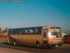 Mercedes Benz O-303RHS / Particular