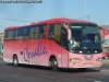 Irizar Century II 3.70 / Mercedes Benz O-400RSE / Covalle Bus