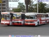 Flota Buses J. A. | Metalpar Petrohué 2000 / M. Benz OH-1420 | Metalpar Manquehue I / M. Benz OF-1214 | Mercedes Benz O-365