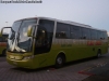 Busscar Vissta Buss LO / Scania K-340 / Tur Bus