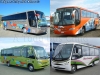Busscar Vissta Buss HI | El Buss 340 / Volvo B-7R | Comil Piá | Busscar Micruss / Mercedes Benz LO-914 / Buses Fernández