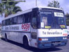 Mercedes Benz O-371RS / Covalle Bus (Al servicio de Cencosud Retail S.A.)