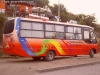 Busscar Micruss / Mercedes Benz LO-914 / Pullman Bus