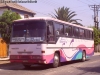 Comil Condottiere 3.40 / Volvo B-58E / Buses Golondrina