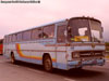 Mercedes Benz O-302ÜHN / Sociedad Agrícola Zuidland Mercedes Benz O-302ÜHN / Sociedad Agrícola Zuidland