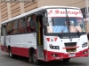 Ashok Leyland Eagle 814 / Trans Alto Hospicio S.A. (Iquique)