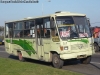 Caio Carolina IV / Mercedes Benz LO-708E / Línea La Serena Coquimbo LISERCO