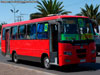Ashok Leyland Eagle 814 / Taxibuses 7 y 8 (Recorrido N° 8) Arica