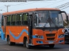 Ashok Leyland Eagle 814 / Transportes Línea 2 S.A. (Recorrido N° 14) Arica