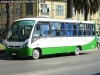 Neobus Thunder + / Mercedes Benz LO-915 / TMV 2 Viña Bus S.A.