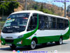 Inrecar Géminis Puma / Mercedes Benz OF-917 BlueTec5 / TMV 2 Viña Bus S.A.