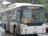 King Long XMQ6891G / Movigas Línea N° 8 Punta Arenas King Long XMQ6891G / Movigas Línea N° 8 Punta Arenas